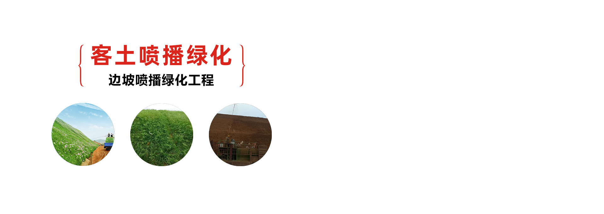 邊坡防護(hù)網(wǎng)-鋼絲繩網(wǎng)-邊坡綠化施工 - 安平縣騰旭金屬絲網(wǎng)制品廠